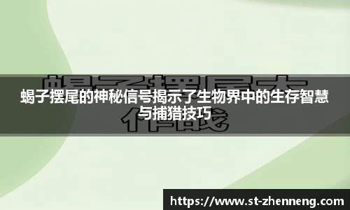 蝎子摆尾的神秘信号揭示了生物界中的生存智慧与捕猎技巧