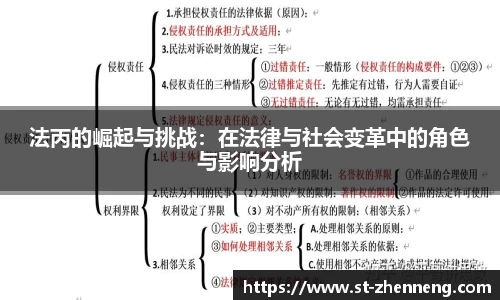 法丙的崛起与挑战：在法律与社会变革中的角色与影响分析